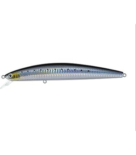 Amazon.com : Daiwa Emeraldas X 86ML : Sports & Outdoors